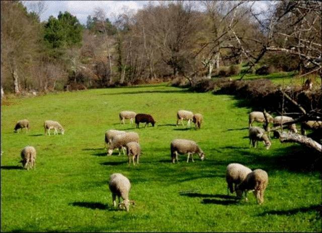 Готель Quinta Do Lagar Da Moira Vila Franca da Serra Екстер'єр фото