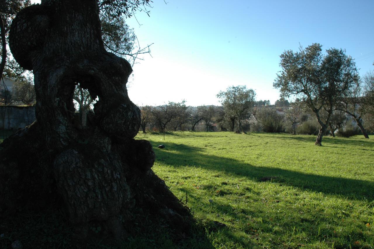 Готель Quinta Do Lagar Da Moira Vila Franca da Serra Екстер'єр фото