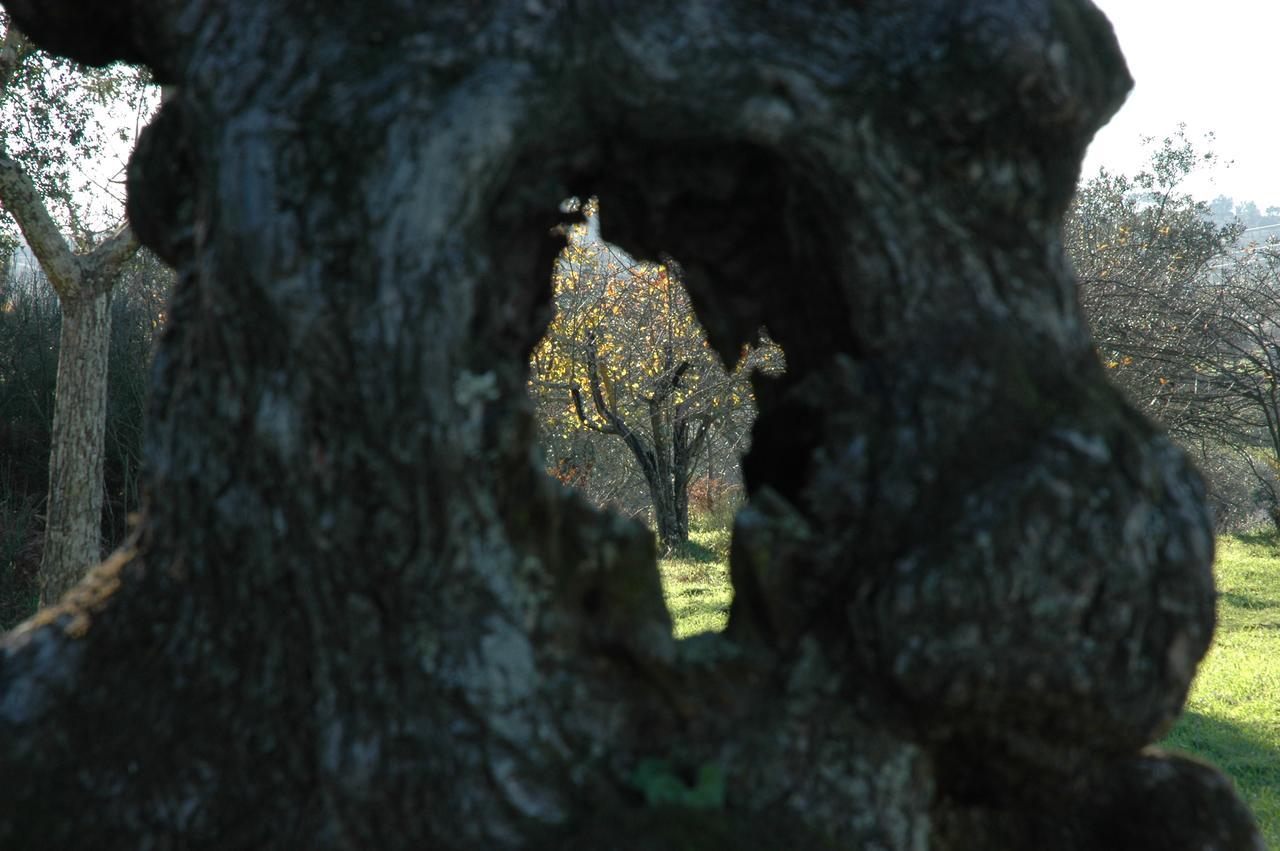Готель Quinta Do Lagar Da Moira Vila Franca da Serra Екстер'єр фото